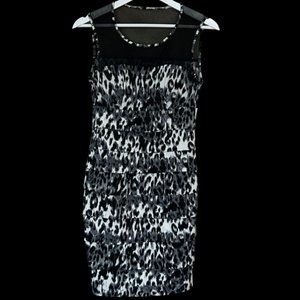 Women's ENFOCUS STUDIO Size 6 Black/Gray Animal Print Dress